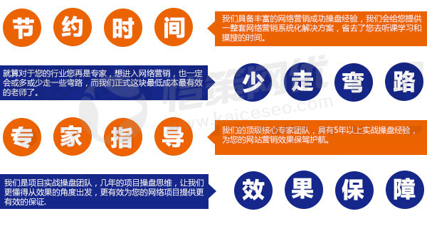 愷策網(wǎng)優(yōu)為您的項目提供效果保障 